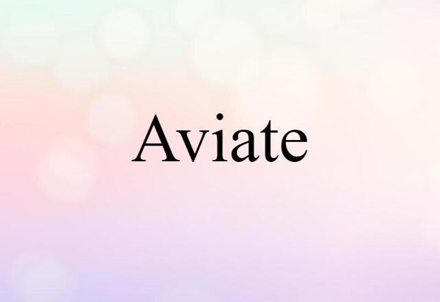 Aviate (noun) Definition, Meaning & Examples