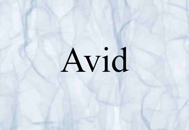 Avid (noun) Definition, Meaning & Examples