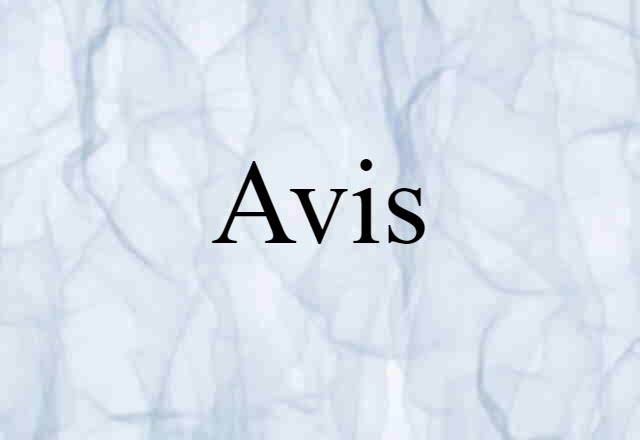 Avis (noun) Definition, Meaning & Examples