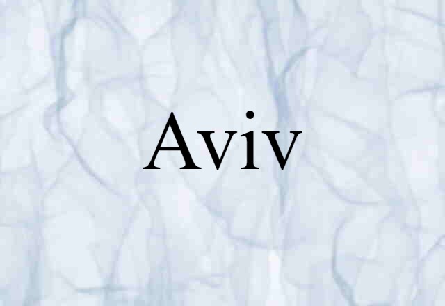 Aviv