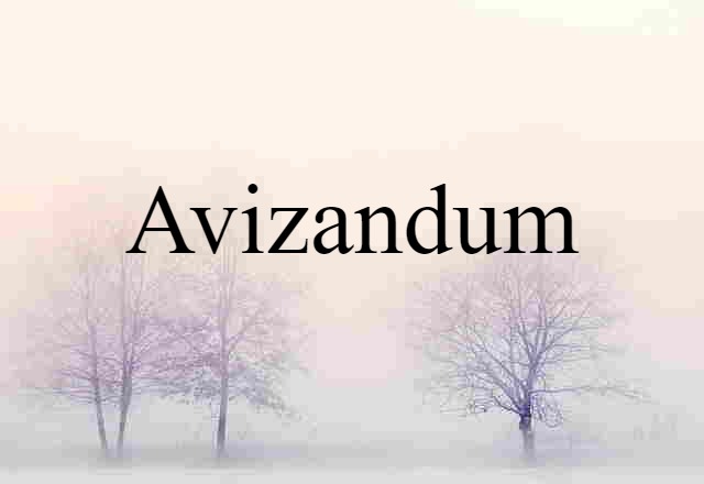 Avizandum (noun) Definition, Meaning & Examples