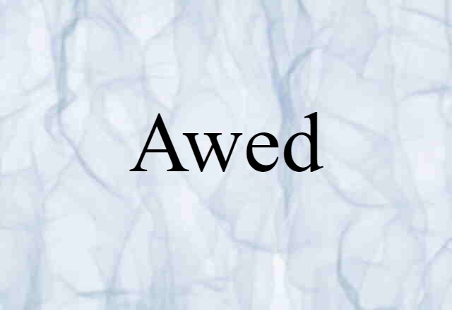 Awed (noun) Definition, Meaning & Examples