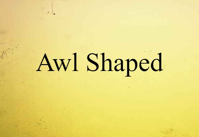 awl shaped