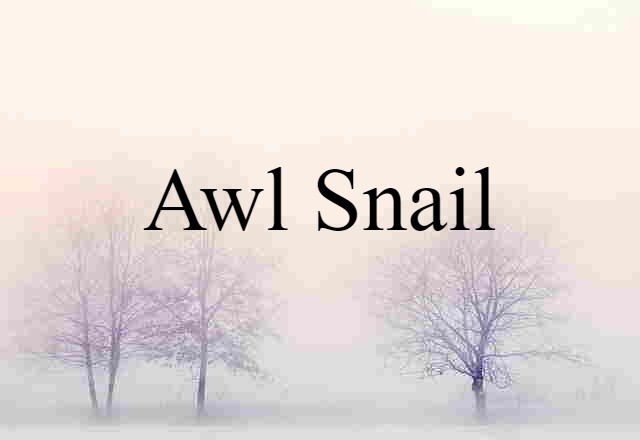 awl snail