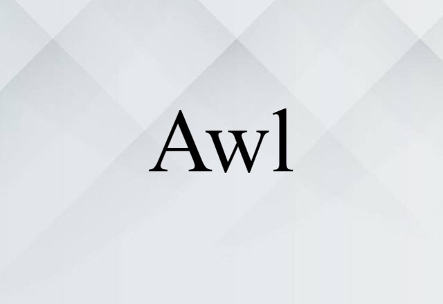 Awl (noun) Definition, Meaning & Examples