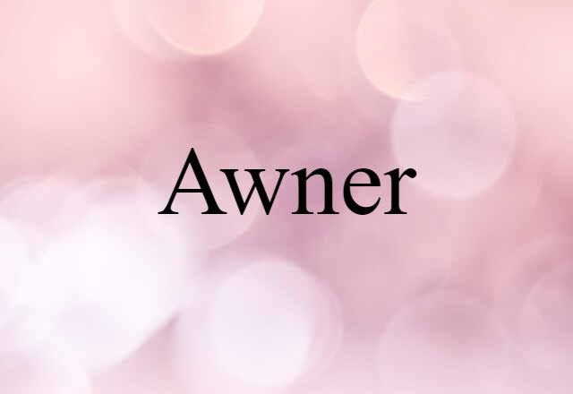 Awner (noun) Definition, Meaning & Examples