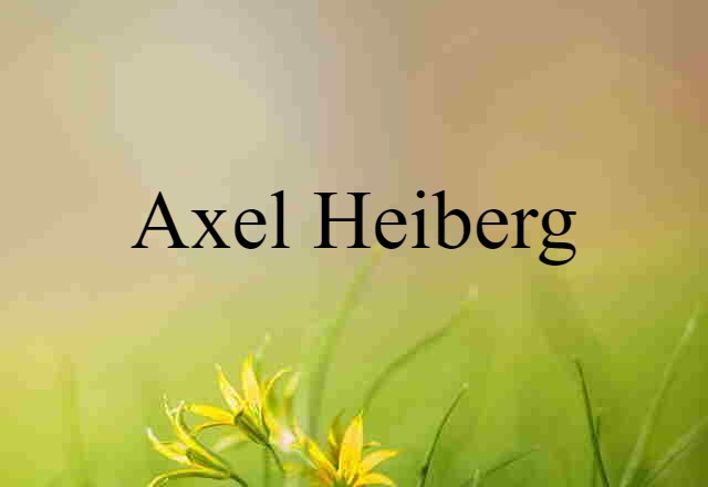 Axel Heiberg (noun) Definition, Meaning & Examples