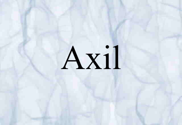 Axil (noun) Definition, Meaning & Examples