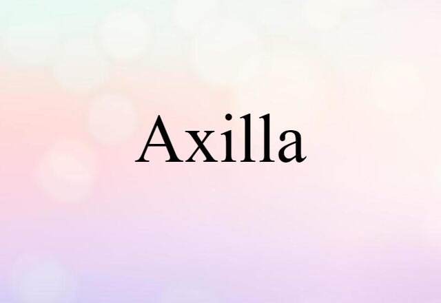 axilla