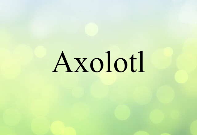 Axolotl (noun) Definition, Meaning & Examples