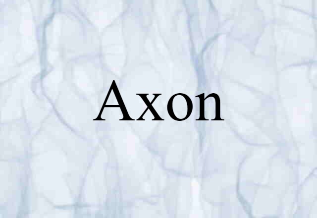 axon