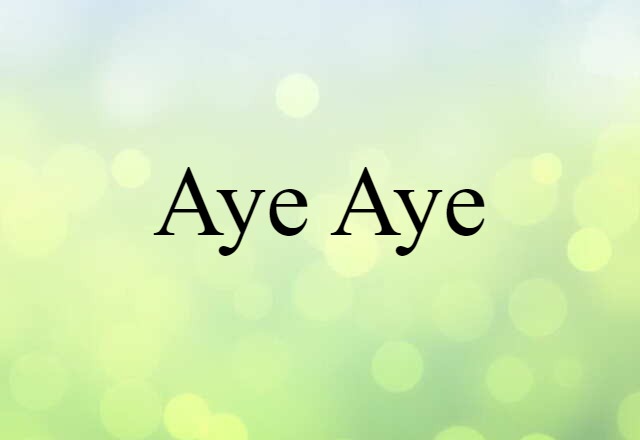 aye aye