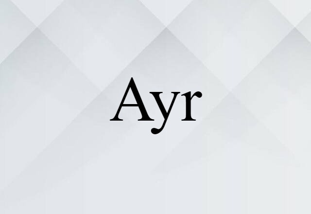 Ayr (noun) Definition, Meaning & Examples