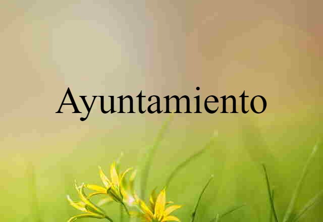 Ayuntamiento (noun) Definition, Meaning & Examples