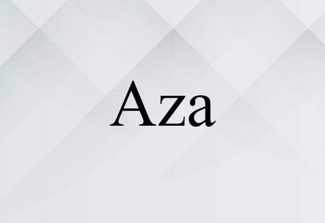 Aza (noun) Definition, Meaning & Examples