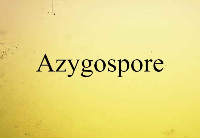 Azygospore (noun) Definition, Meaning & Examples