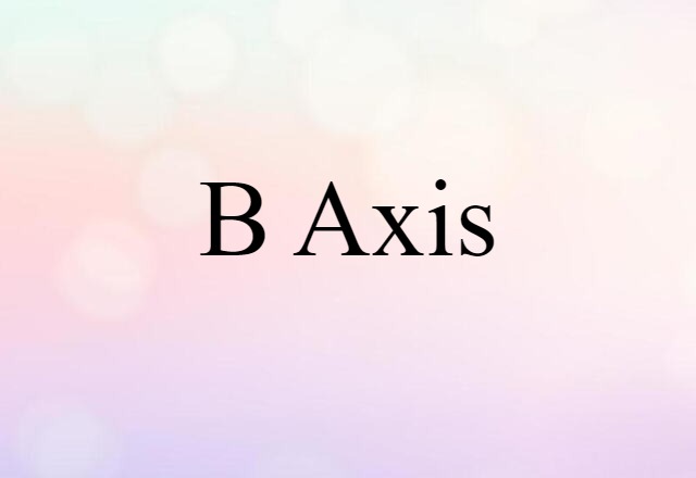 B Axis (noun) Definition, Meaning & Examples