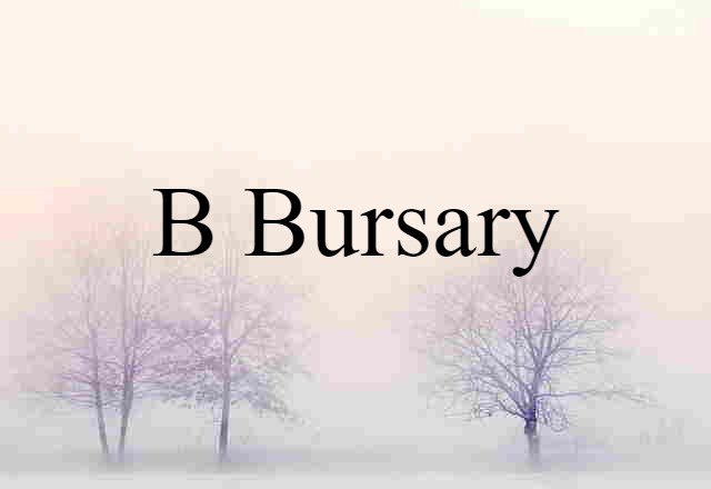 B bursary