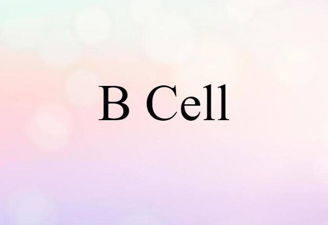 B Cell (noun) Definition, Meaning & Examples