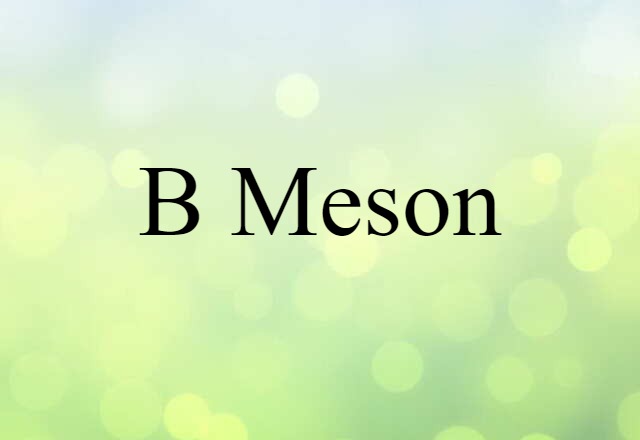 B meson