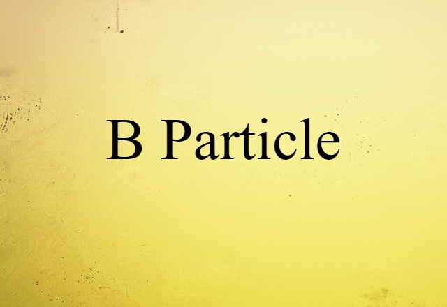 B particle