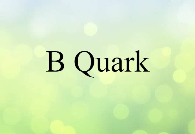 B Quark (noun) Definition, Meaning & Examples