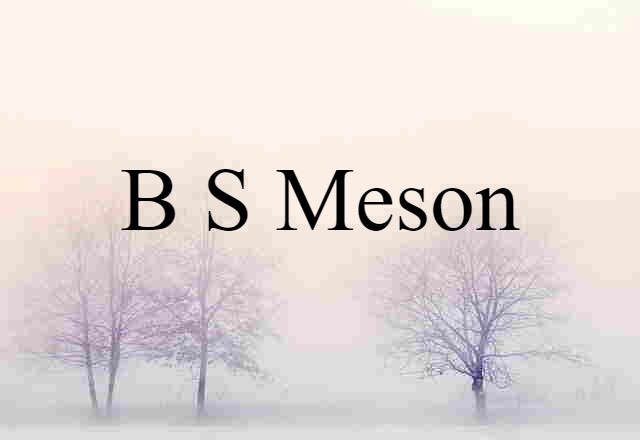 B s meson