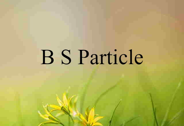 B-s particle