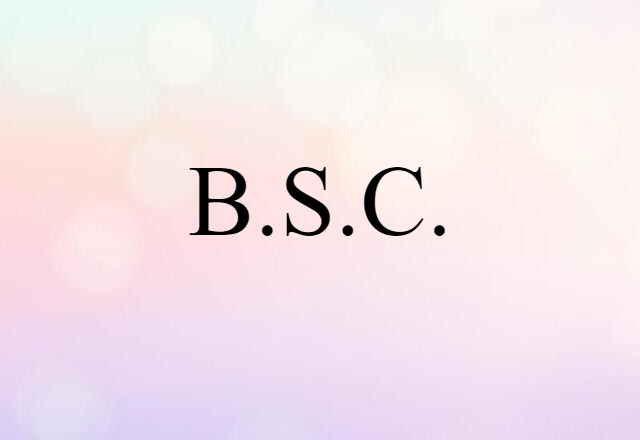 B.S.C. (noun) Definition, Meaning & Examples