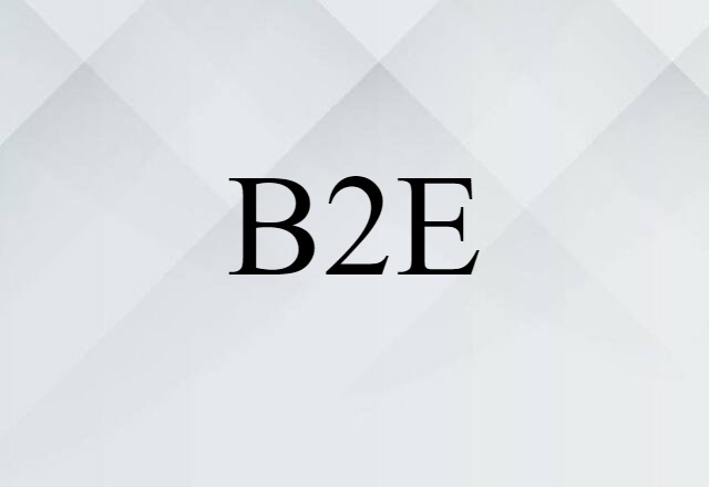 B2E (noun) Definition, Meaning & Examples