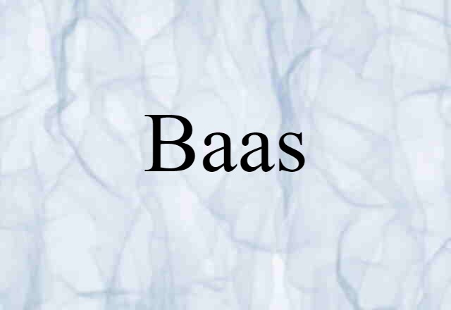 Baas (noun) Definition, Meaning & Examples