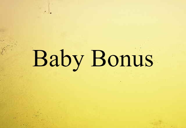 Baby Bonus (noun) Definition, Meaning & Examples