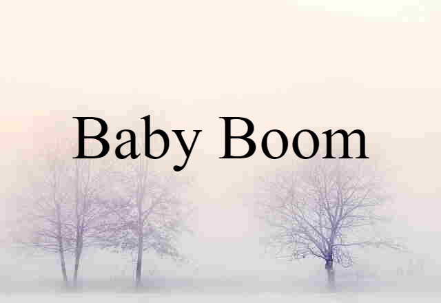 Baby Boom (noun) Definition, Meaning & Examples