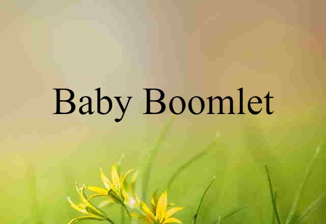 Baby Boomlet (noun) Definition, Meaning & Examples