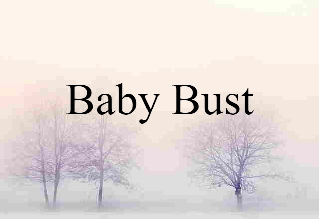 Baby Bust (noun) Definition, Meaning & Examples