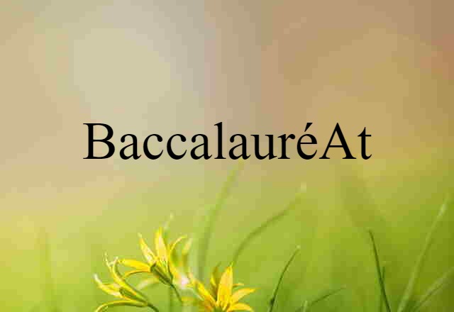 Baccalauréat (noun) Definition, Meaning & Examples