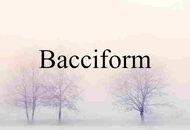 bacciform