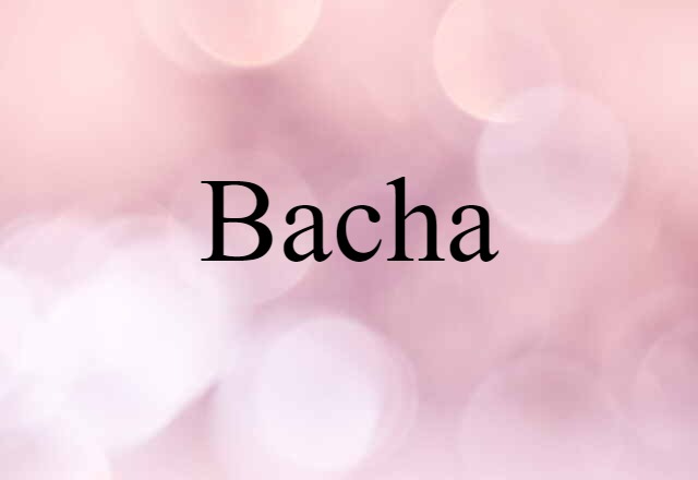 Bacha (noun) Definition, Meaning & Examples