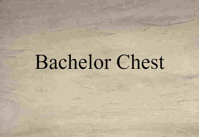 Bachelor Chest (noun) Definition, Meaning & Examples