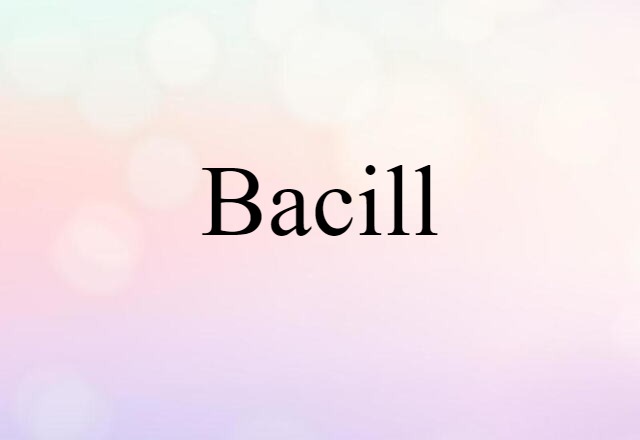 Bacill (noun) Definition, Meaning & Examples