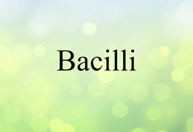 Bacilli (noun) Definition, Meaning & Examples