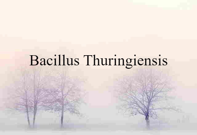 Bacillus thuringiensis