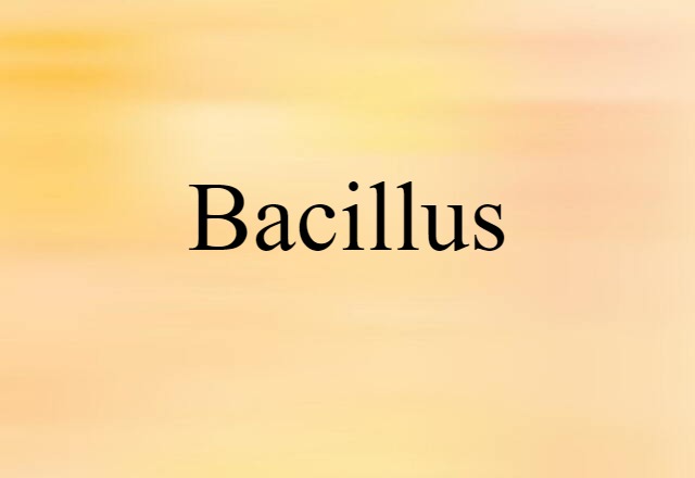 bacillus