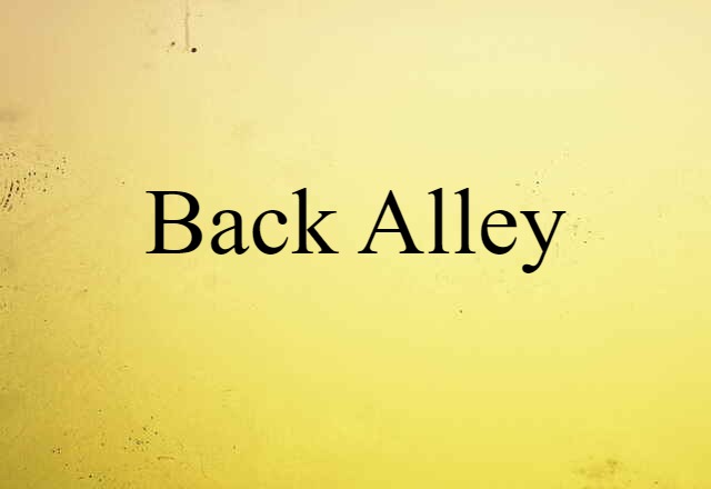 Back-alley (noun) Definition, Meaning & Examples