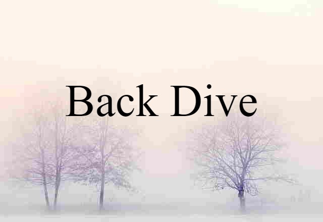 Back Dive (noun) Definition, Meaning & Examples