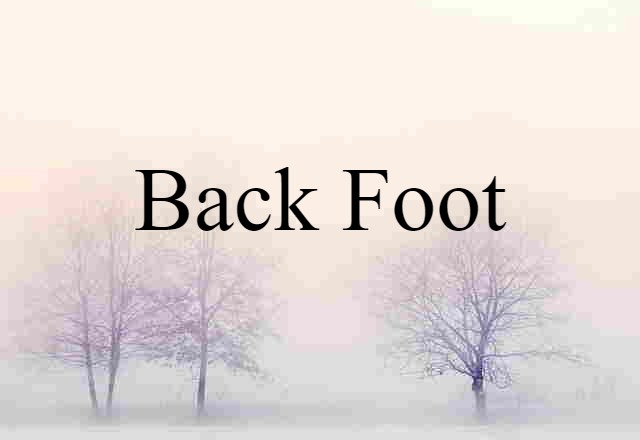 Back Foot (noun) Definition, Meaning & Examples