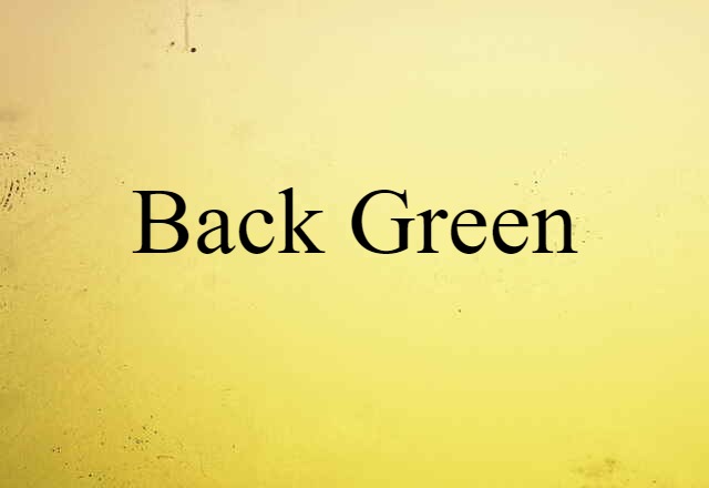 Back Green (noun) Definition, Meaning & Examples