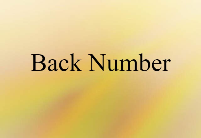 Back Number (noun) Definition, Meaning & Examples