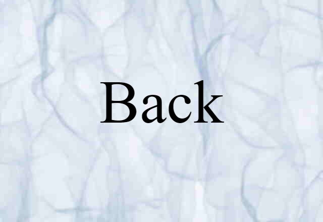 back