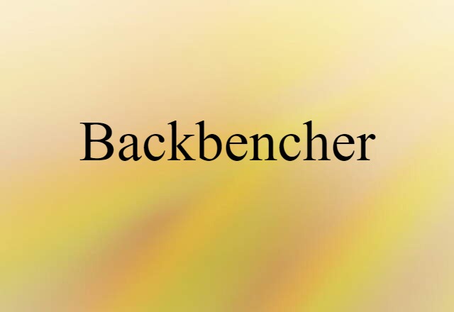 Backbencher (noun) Definition, Meaning & Examples